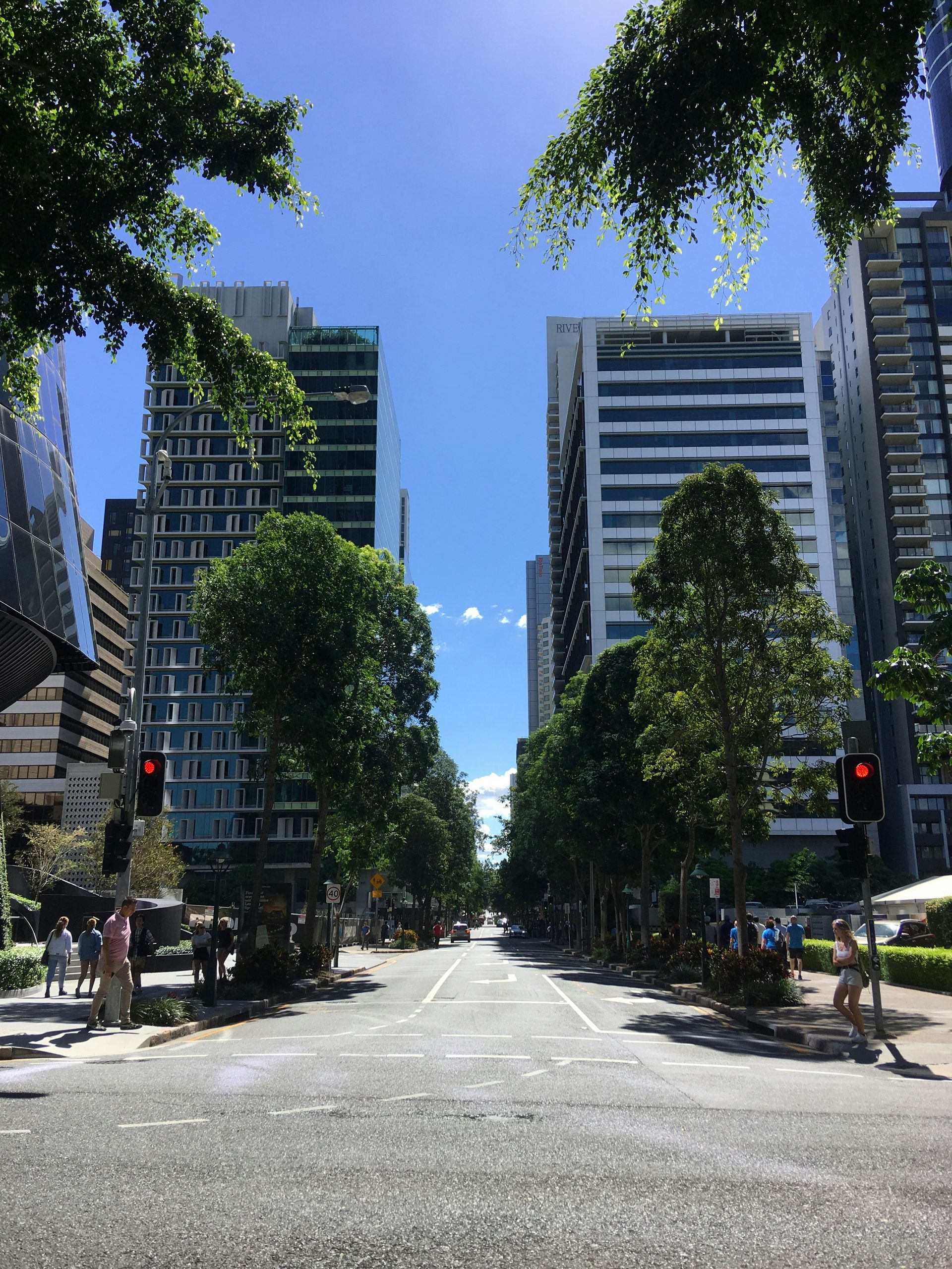 Pedestrians waiting at a city crosswalk beside a tree-lined street and traffic light