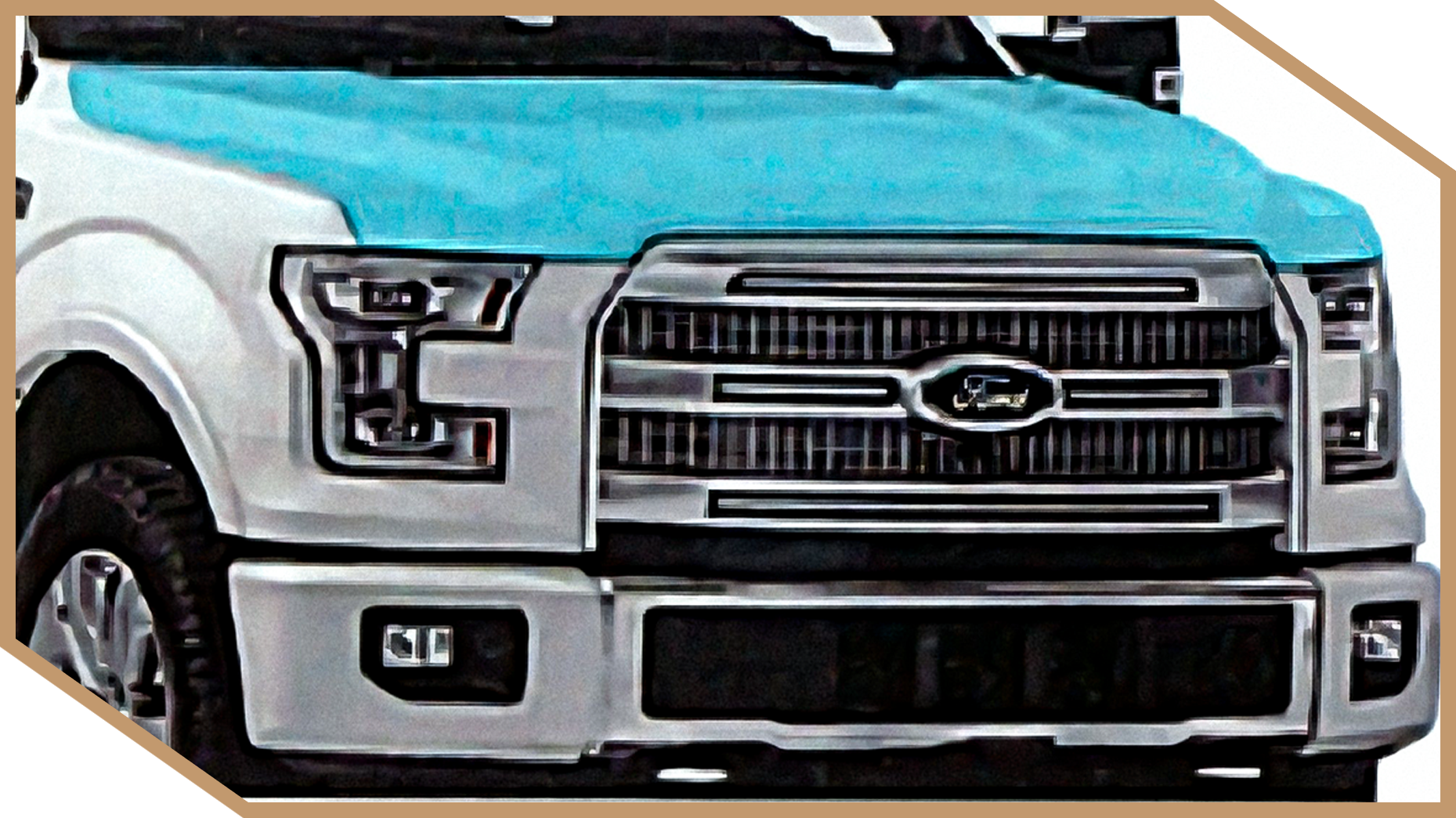 Paint Protection Film