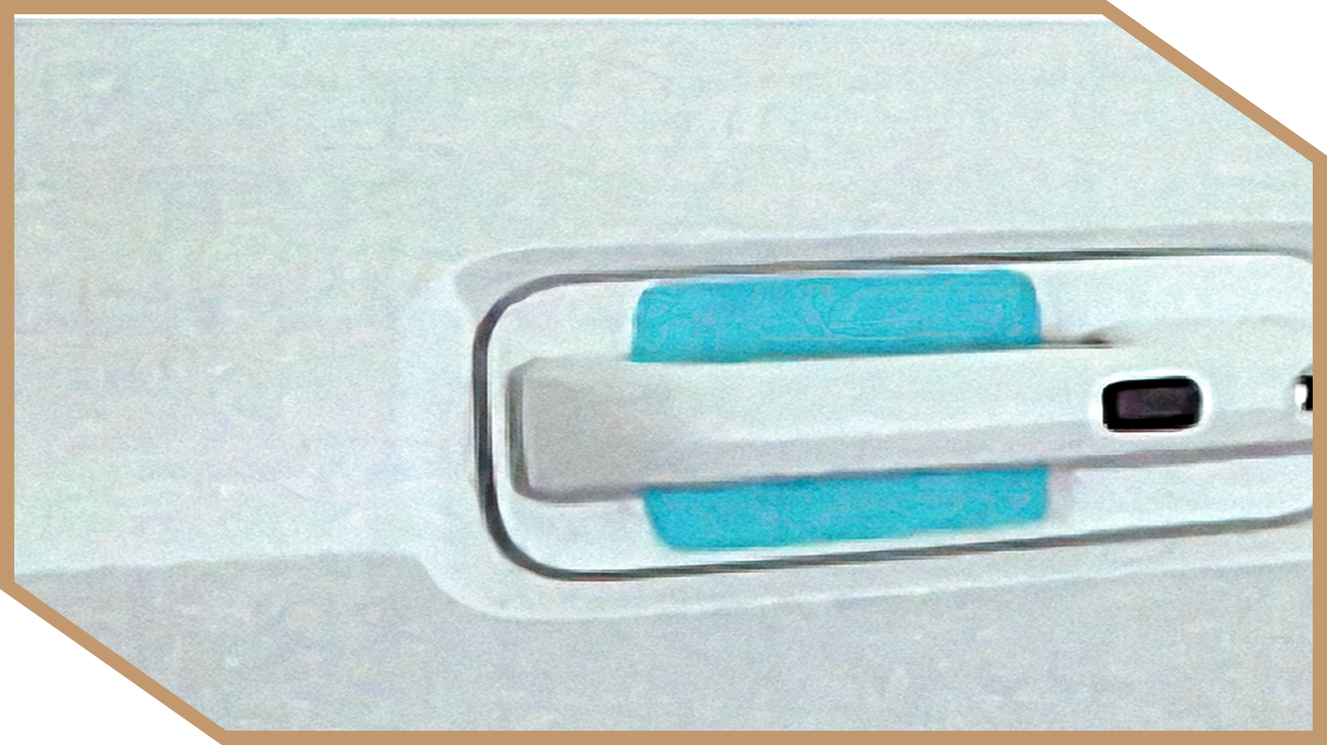 Paint Protection Film