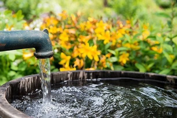 Water flows from a metal pipe into a rustic wooden barrel, with yellow flowers blooming in the blurred garden background.