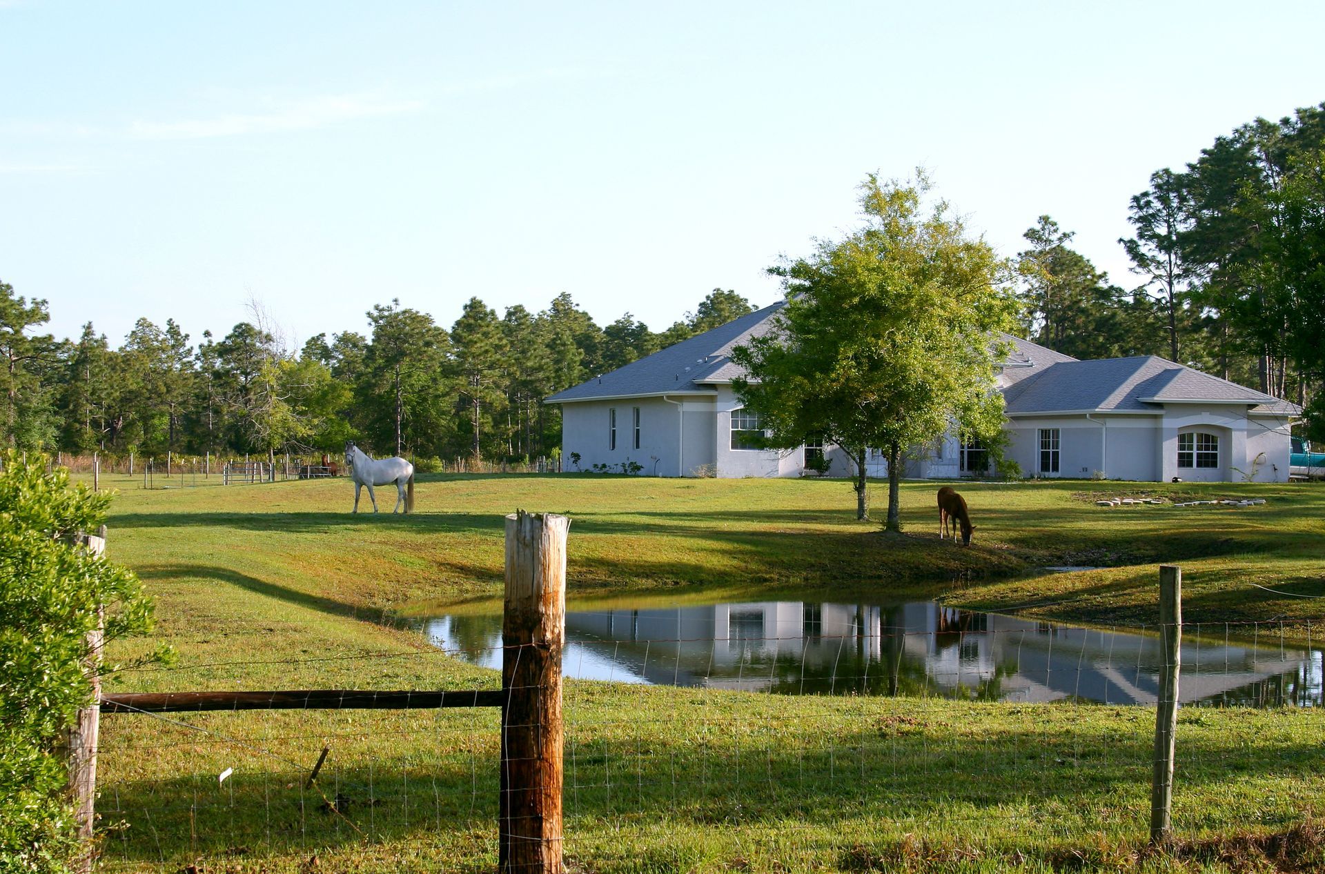 picture of equestrian property in florida