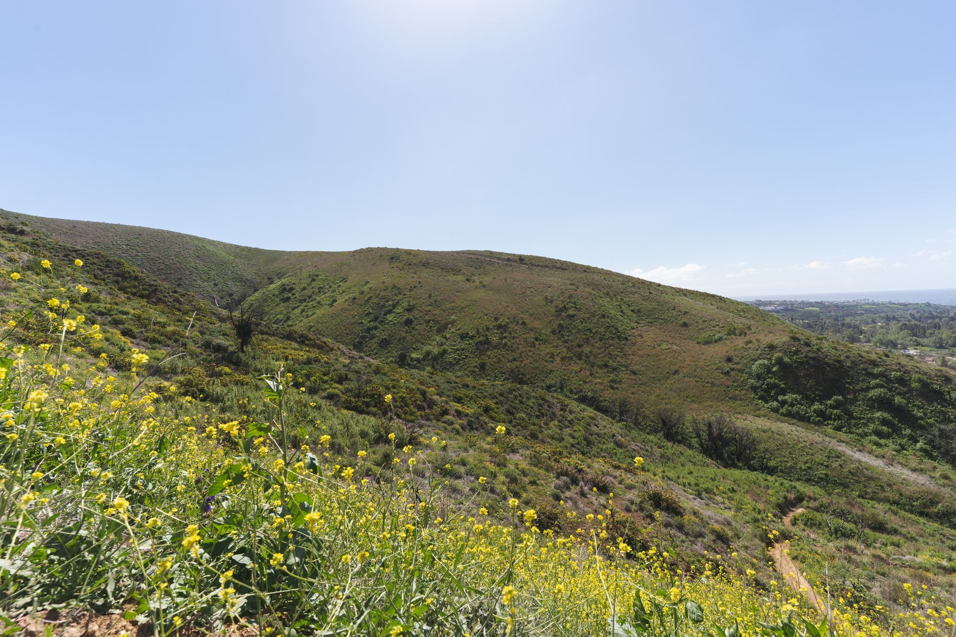 picture of agricultural property in los angeles