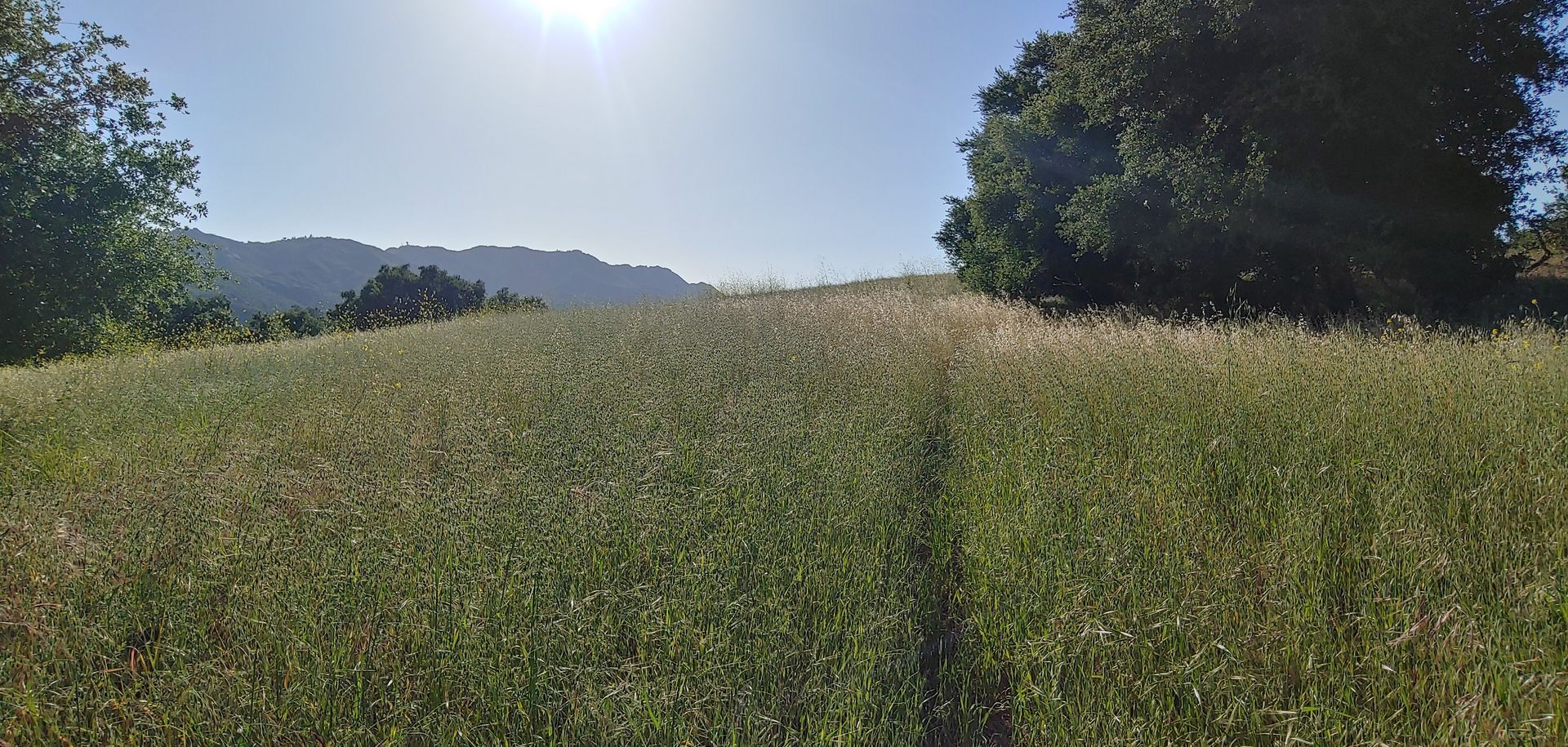 picture of agricultural property in los angeles