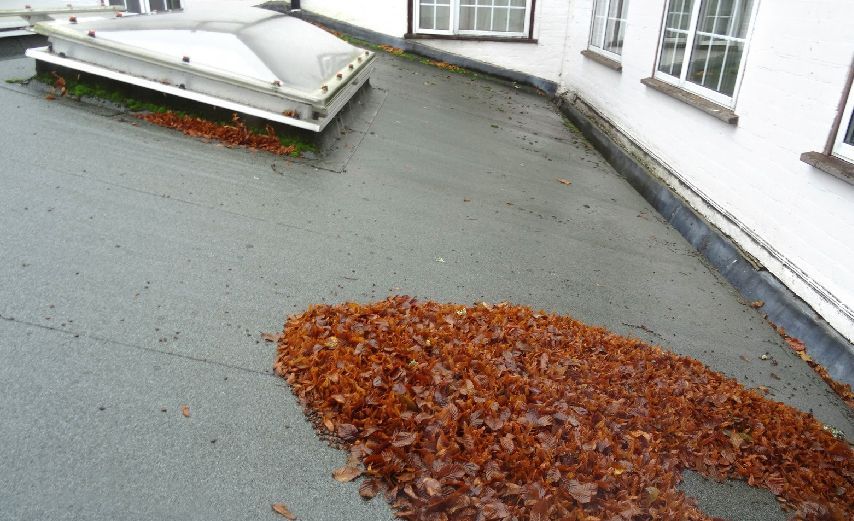 A flat roof covered with brown leaves and a skylight, next to a white building with windows that needs maitenance.