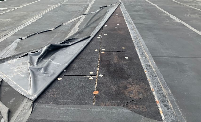 EPDM roofing membrane partially peeled back, exposing fasteners.