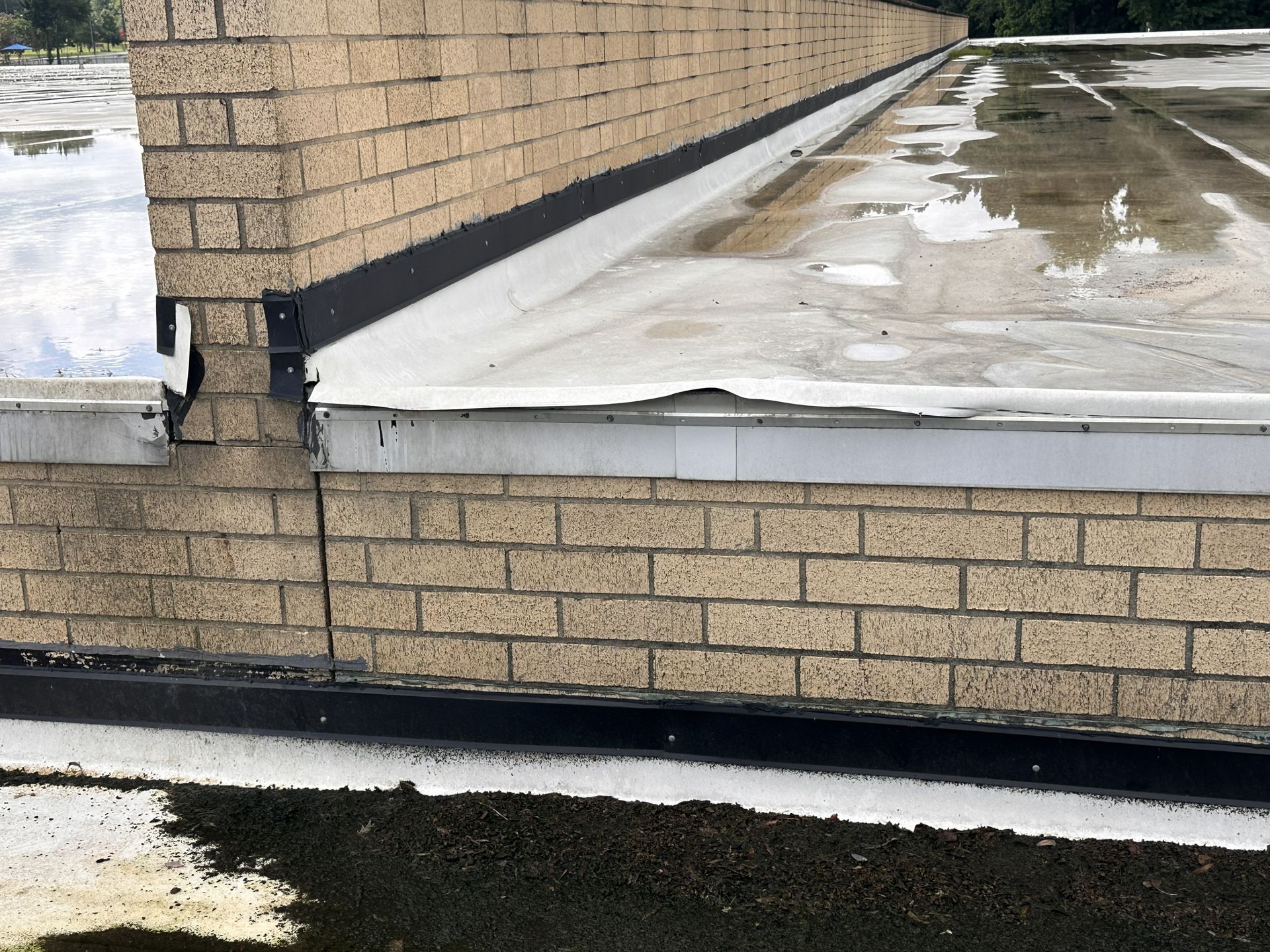 Ponding water and deteriorated perimeter flashing on a commercial roof showing signs that repairs may be needed.