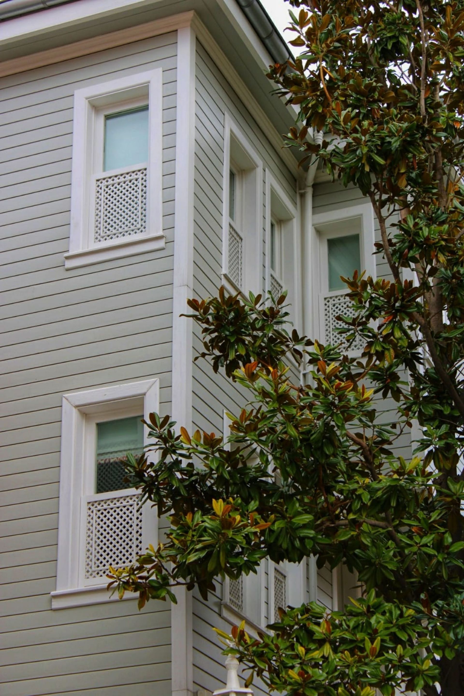 Light gray house with white-trimmed windows partly obscured by a leafy tree.
