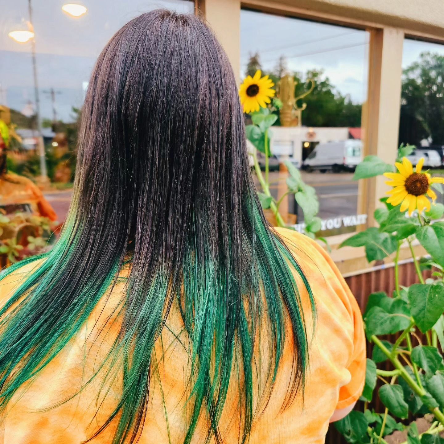 Person with long dark hair dyed green at the ends, facing sunflowers outdoors by a wooden fence.