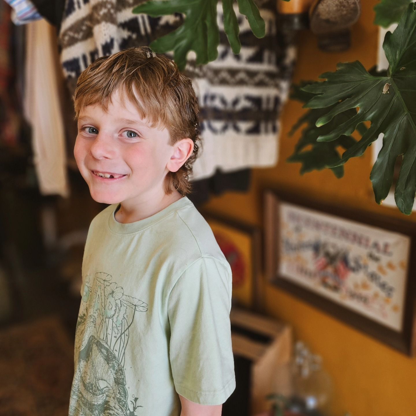 Smiling child in a pale green shirt indoors beside framed art and a leafy plant
