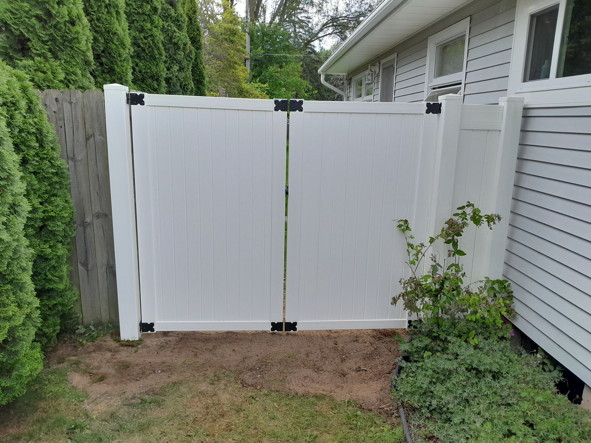 White vinyl gate in a side yard beside a house, with a small shrub and dirt ground.