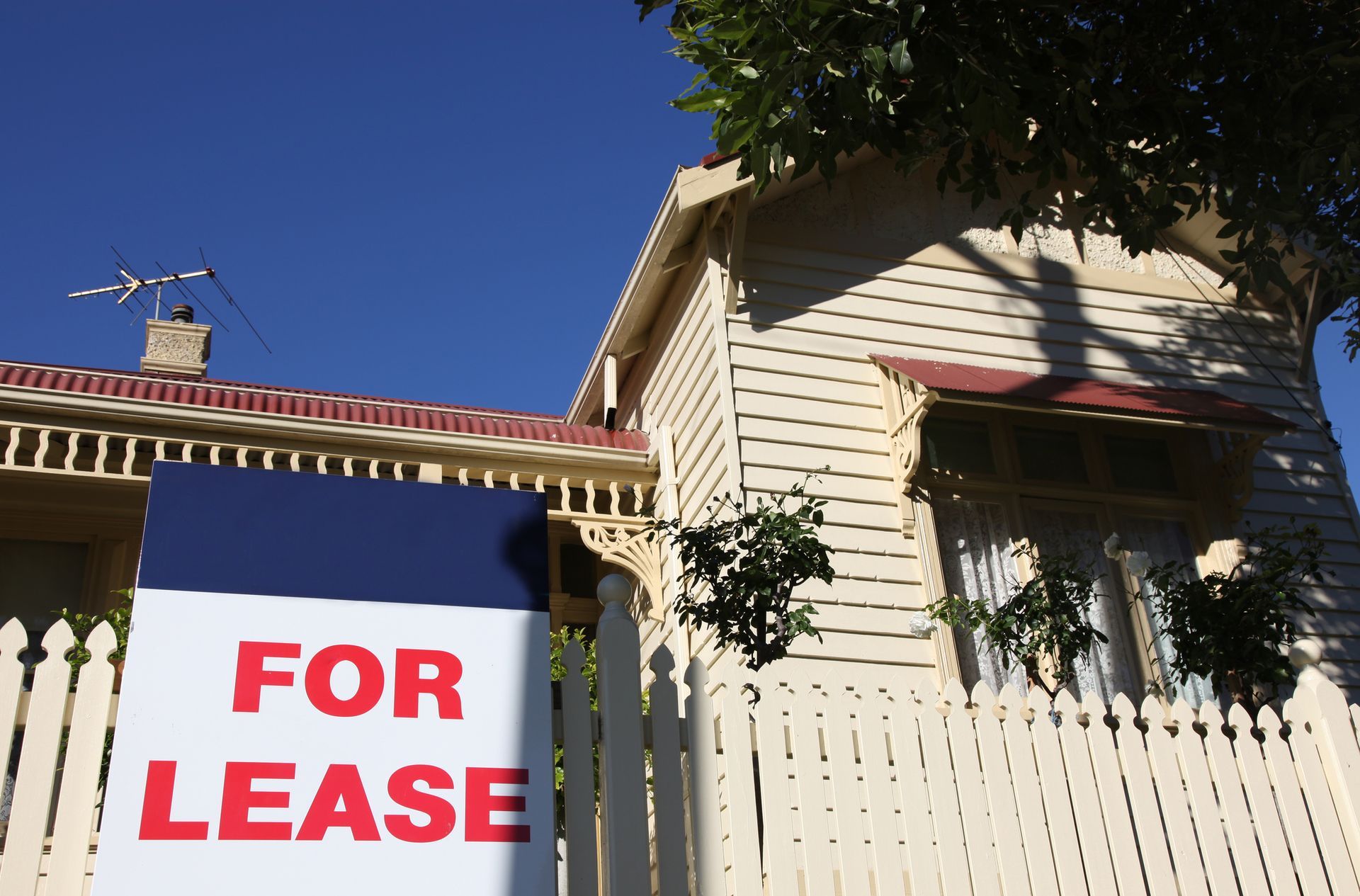 Rental properties claiming bond refund from flea control