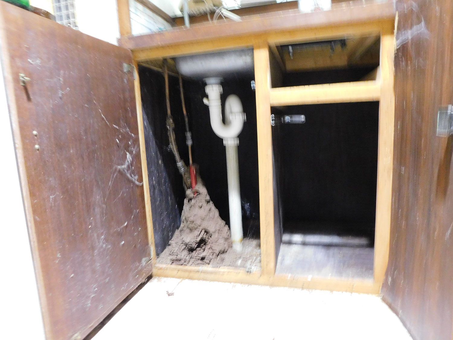 Inspections  in cupboards for termite activity