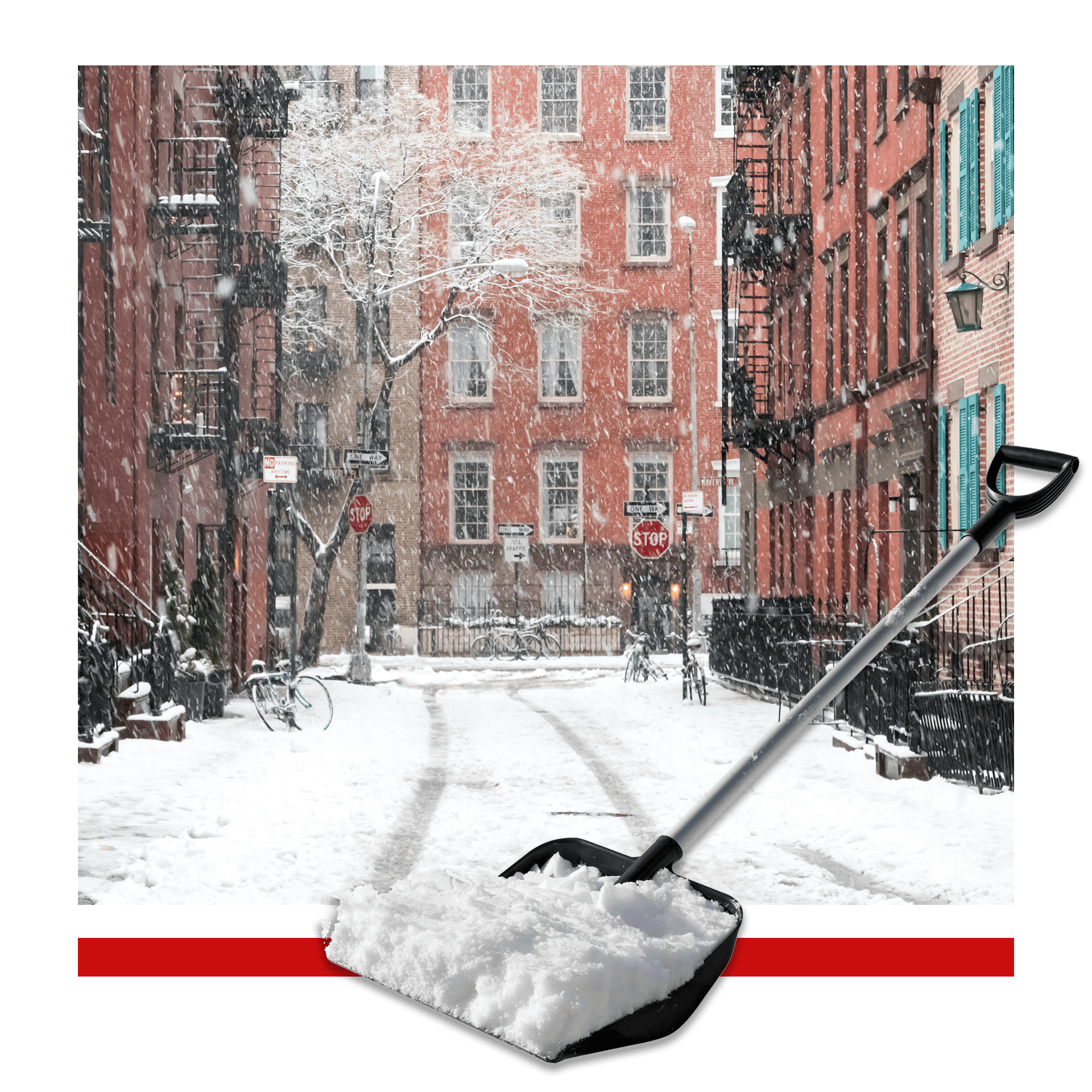 The History of City Bags Wholesalers, Inc. Industry Leaders