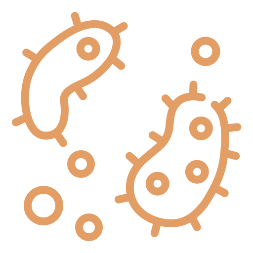 Carolina Ductmasters Greensboro, NC Durham, NC Duct Service Company