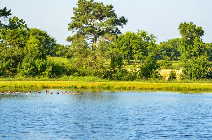 Pittsboro, NC