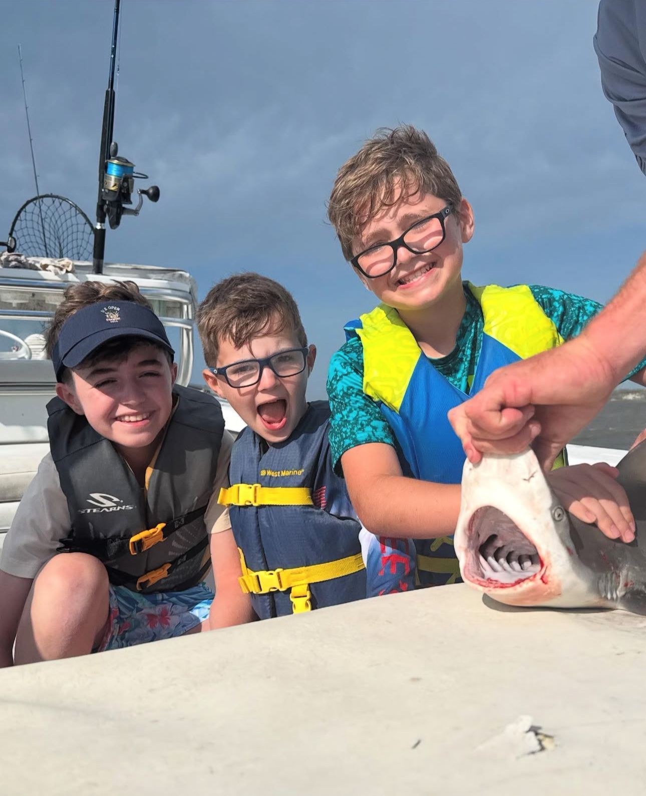 Sea life moment