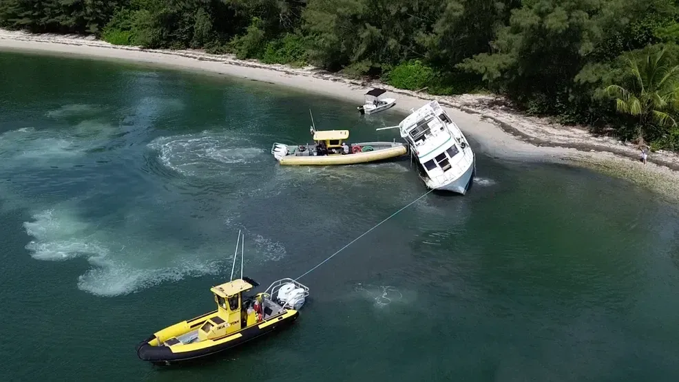 Two boats towing a white sailboat grounded near a wooded shoreline in green water.