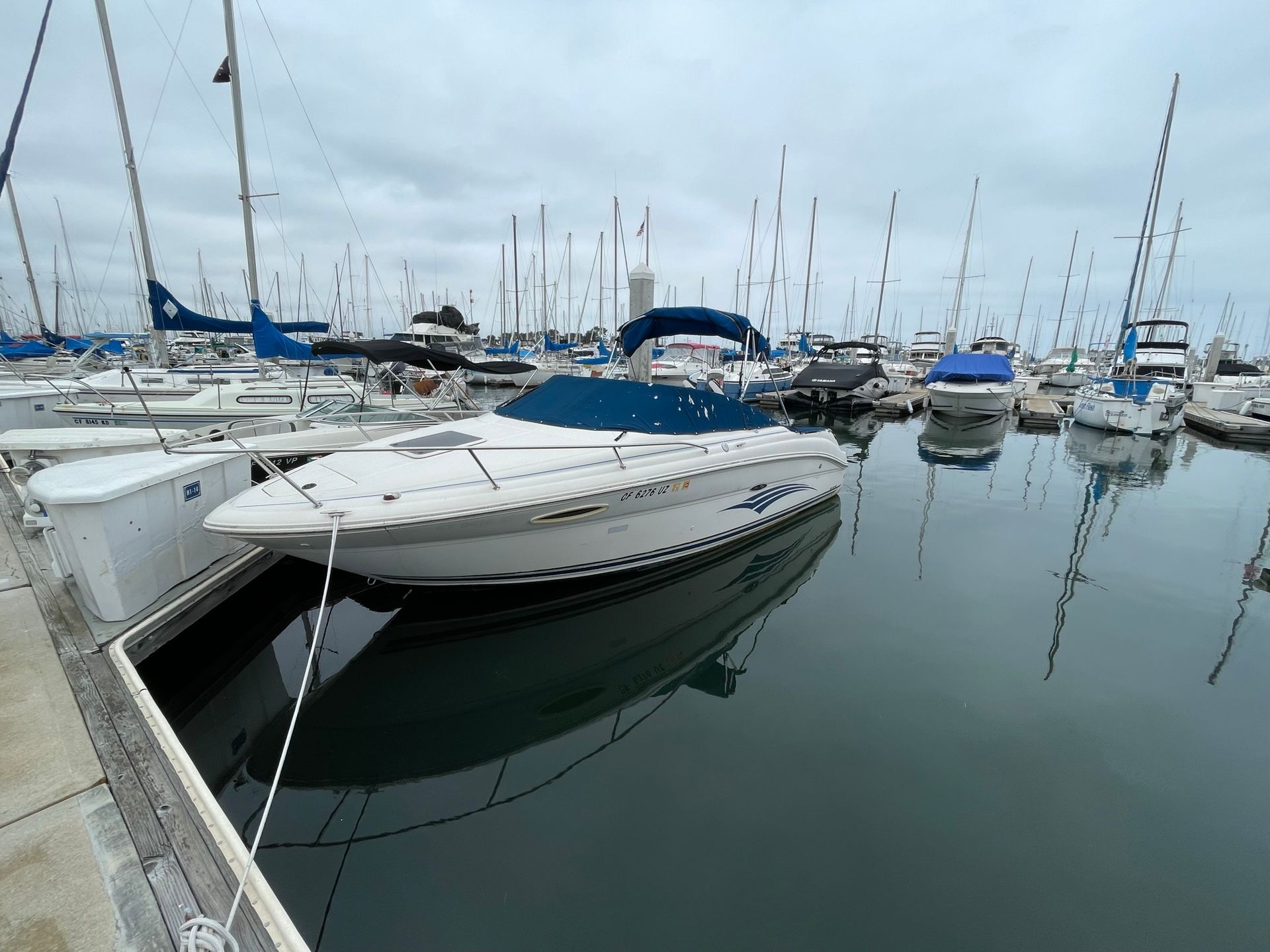 Marina with several docked boats and calm water under an overcast sky