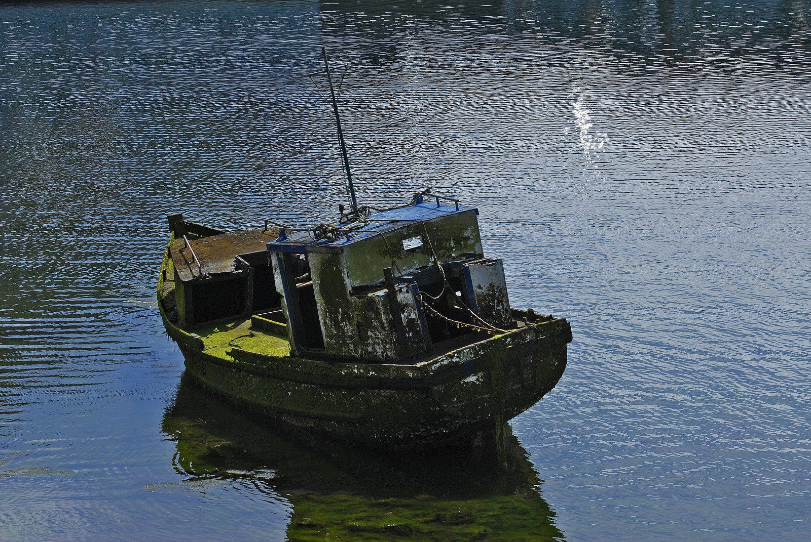 Small dark green boat floating on calm water with a netted cabin cover