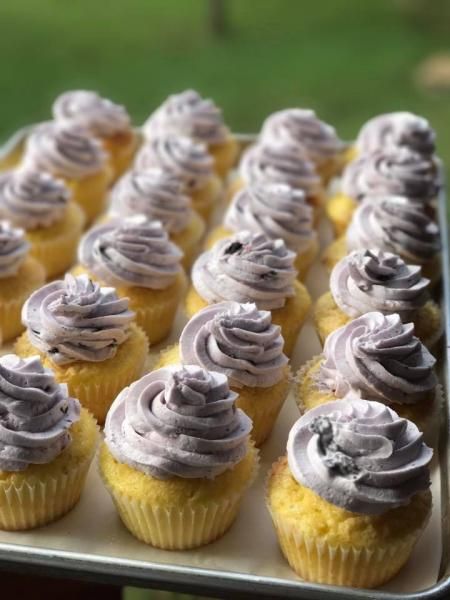 Tray of vanilla cupcakes topped with lavender frosting and sprinkles