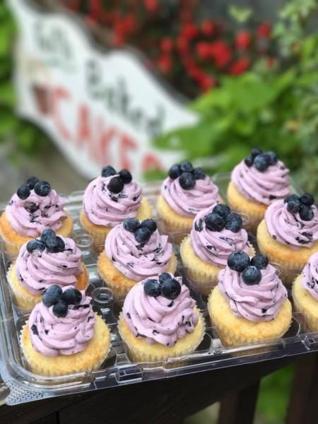 Tray of small cupcakes topped with purple frosting and blueberries outdoors