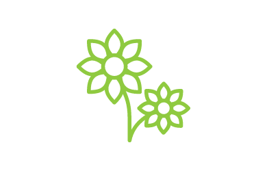 Two green outlined flowers with stems on a white background