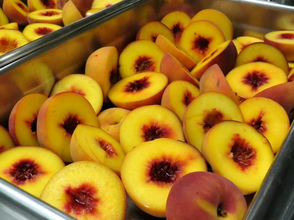 Tray of sliced peaches with yellow flesh and dark red centers
