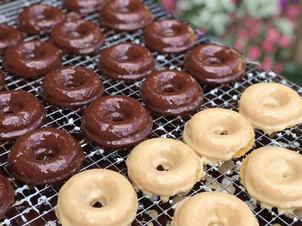 Assorted glazed donuts on a cooling rack, some chocolate and some plain, displayed in rows