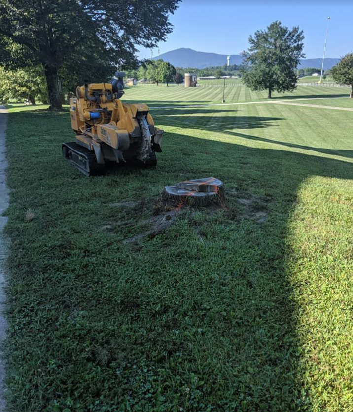 a yellow trx stump grinder grinds stump 3