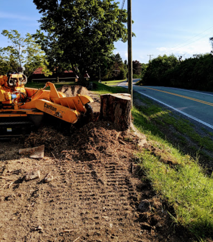 a yellow trx stump grinder grinds stump 2