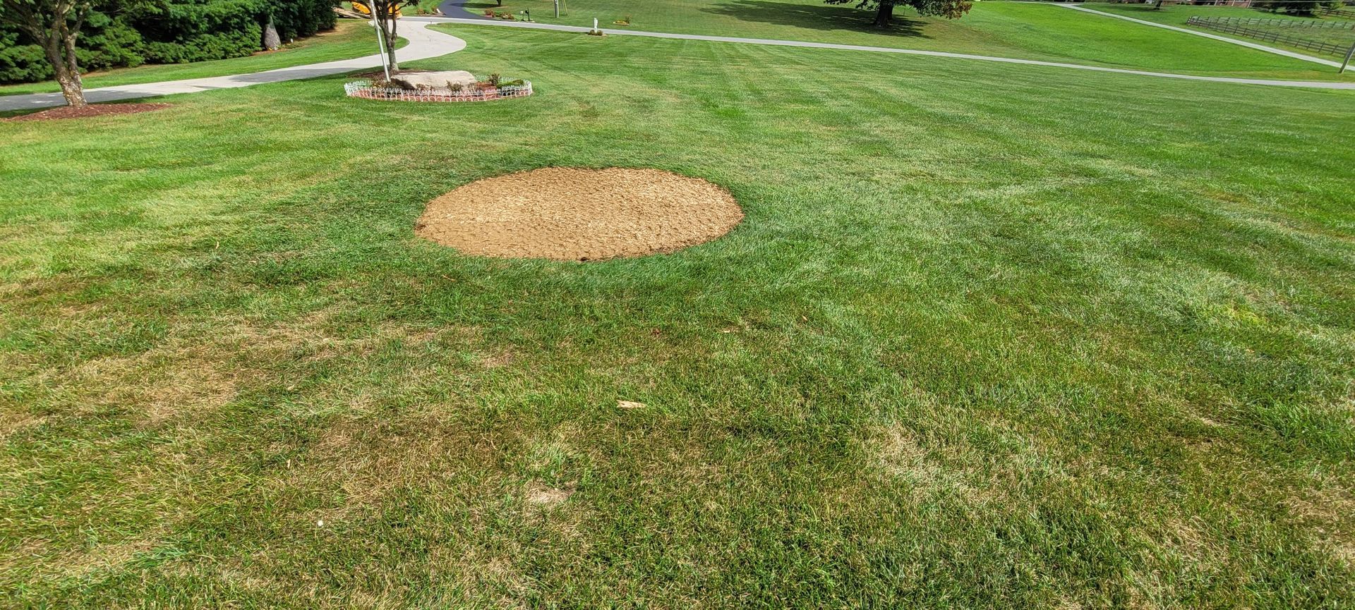 After Stump Removal Blacksburg VA