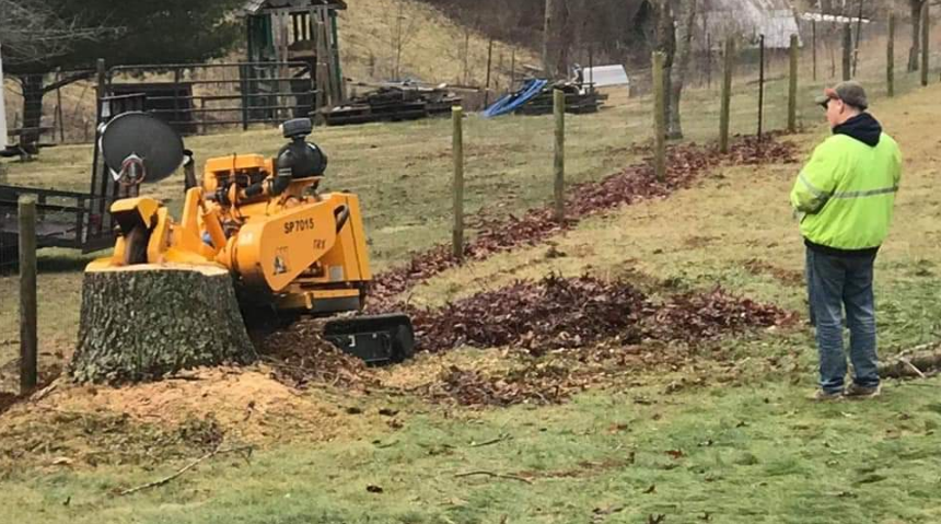 Stump removal 5