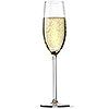 champagne-100