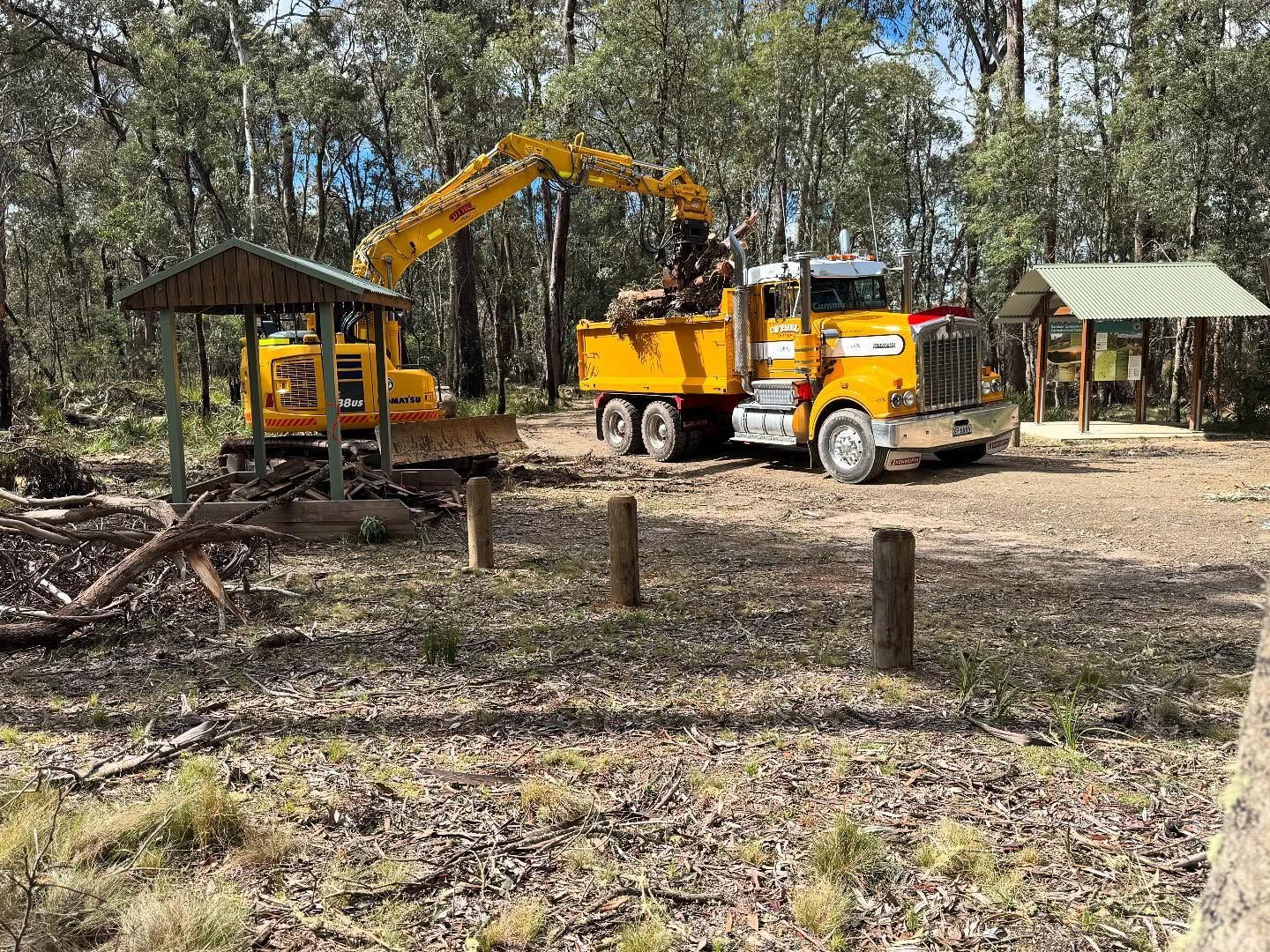 Yellow Logging Trucks in A Wooded Clearing and Loading Cut Tree Branches — A & S Cuthel Earthmoving & Transport in Nambucca Heads, NSW