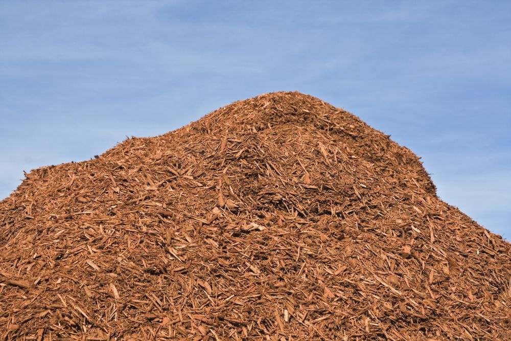 Large Pile of Brown Wood Chips — A & S Cuthel Earthmoving & Transport in Dorrigo, NSW