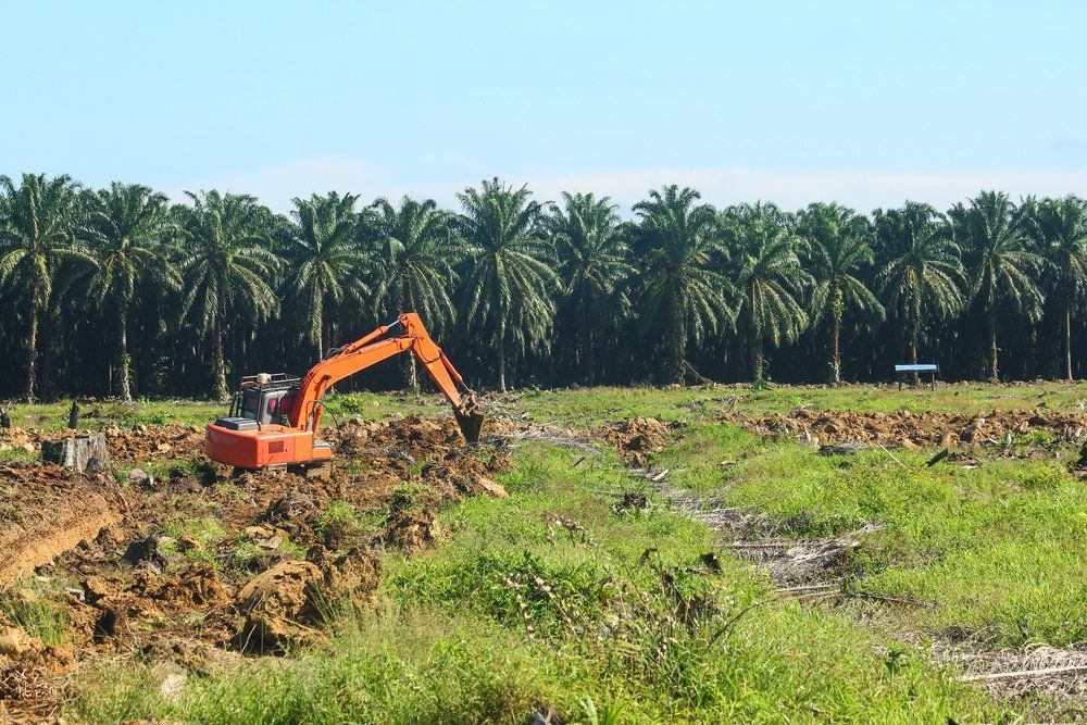 Orange Excavator Digging in a Muddy Field — A & S Cuthel Earthmoving & Transport in Bellingen, NSW