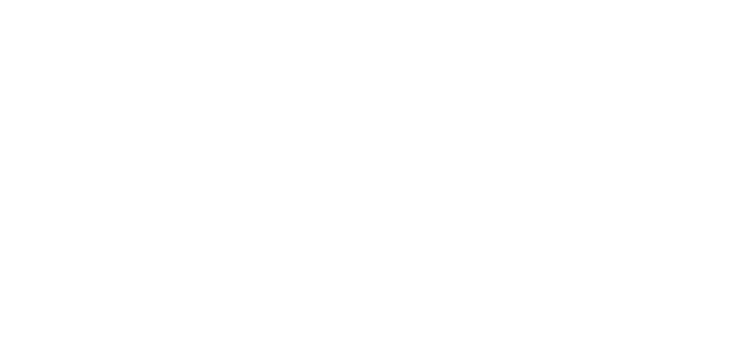 logo-image