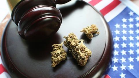 Dried cannabis buds placed on a wooden judge's gavel resting on a United States flag.