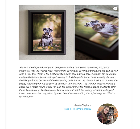 Framed dog portrait beside a close-up print of the same dog, with caption text below.
