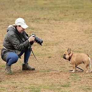 Person crouching to photograph a small tan dog in a grassy field.