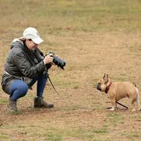 Person crouching to photograph a small tan dog in a grassy field.