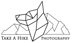 Logo with a geometric mountain outline and the words “Take a Hike Photography.”