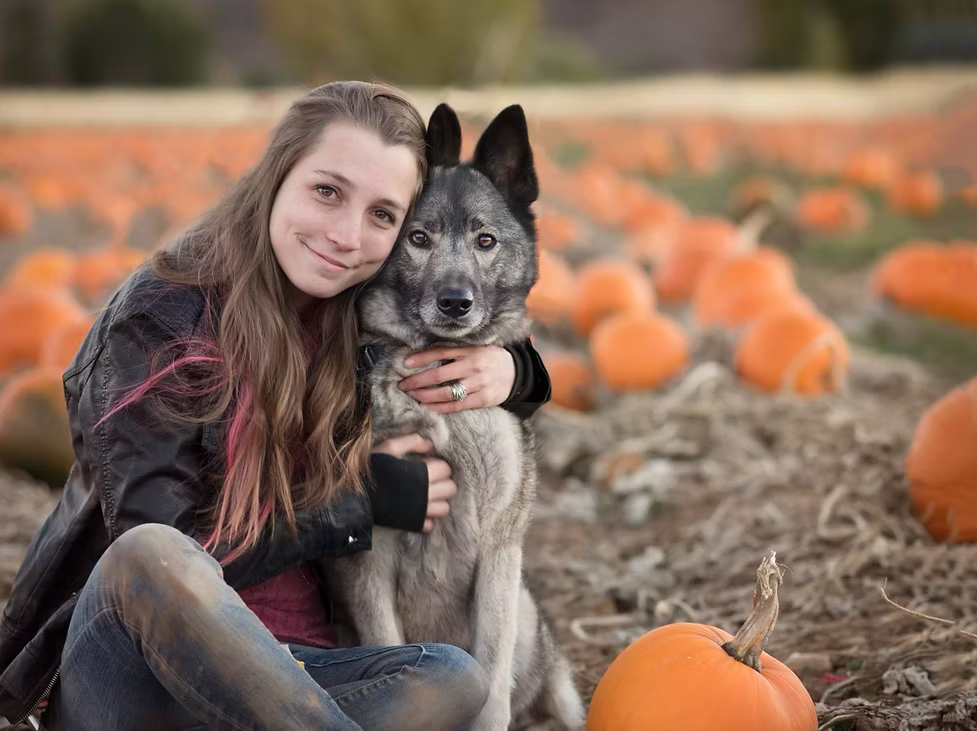 Woman hugging a black-and-tan dog in a pumpkin patch, with orange pumpkins scattered around
