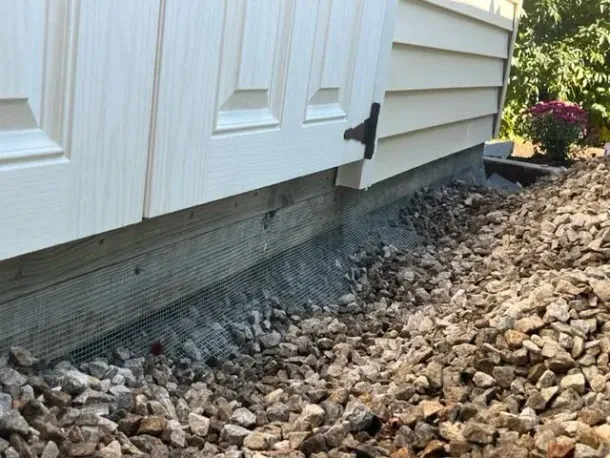 A wildlife removal in Worcester, MA by Matts Wildlife Solutions