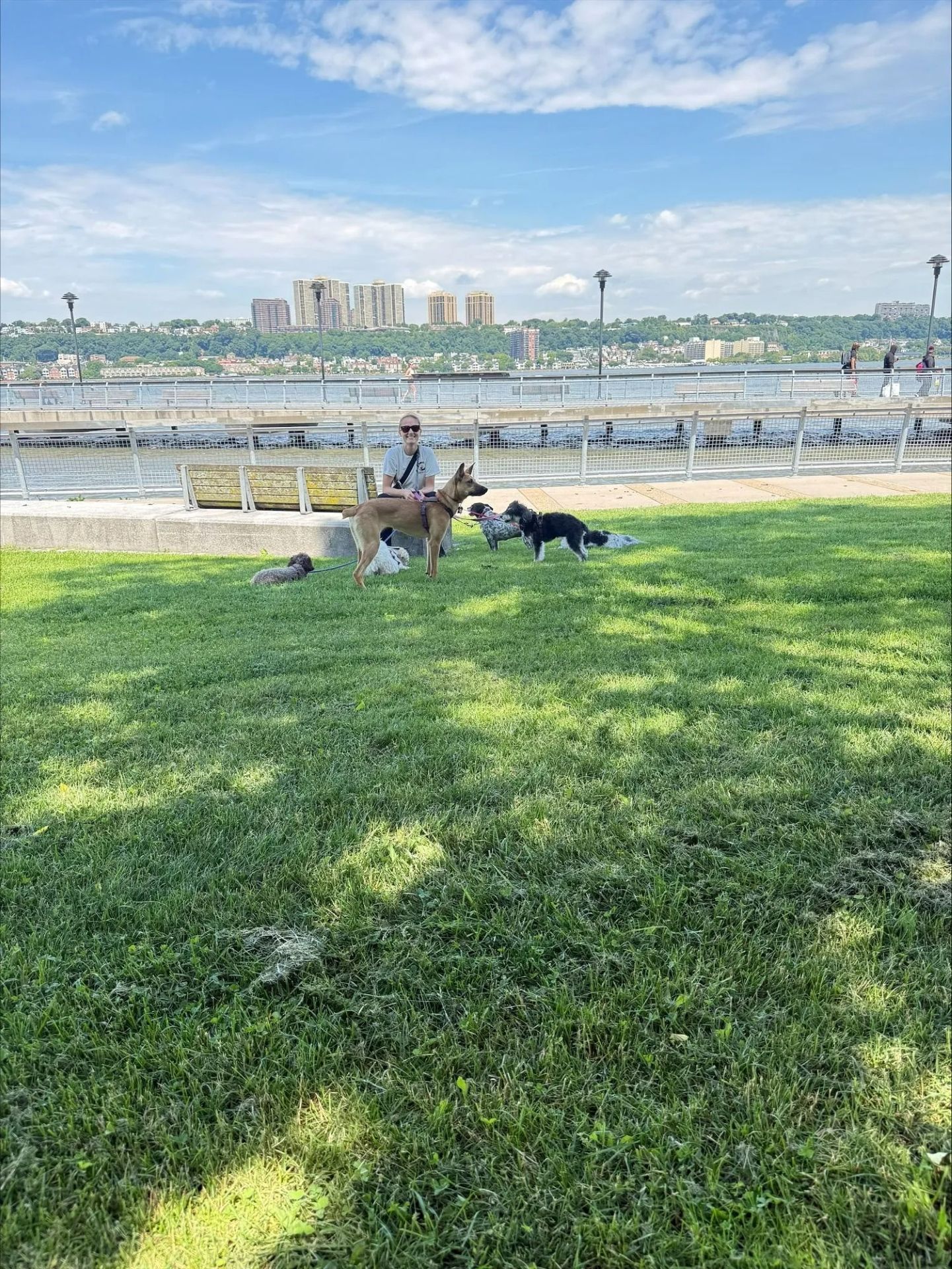 People resting on a grassy waterfront park with benches and a city skyline in the distance