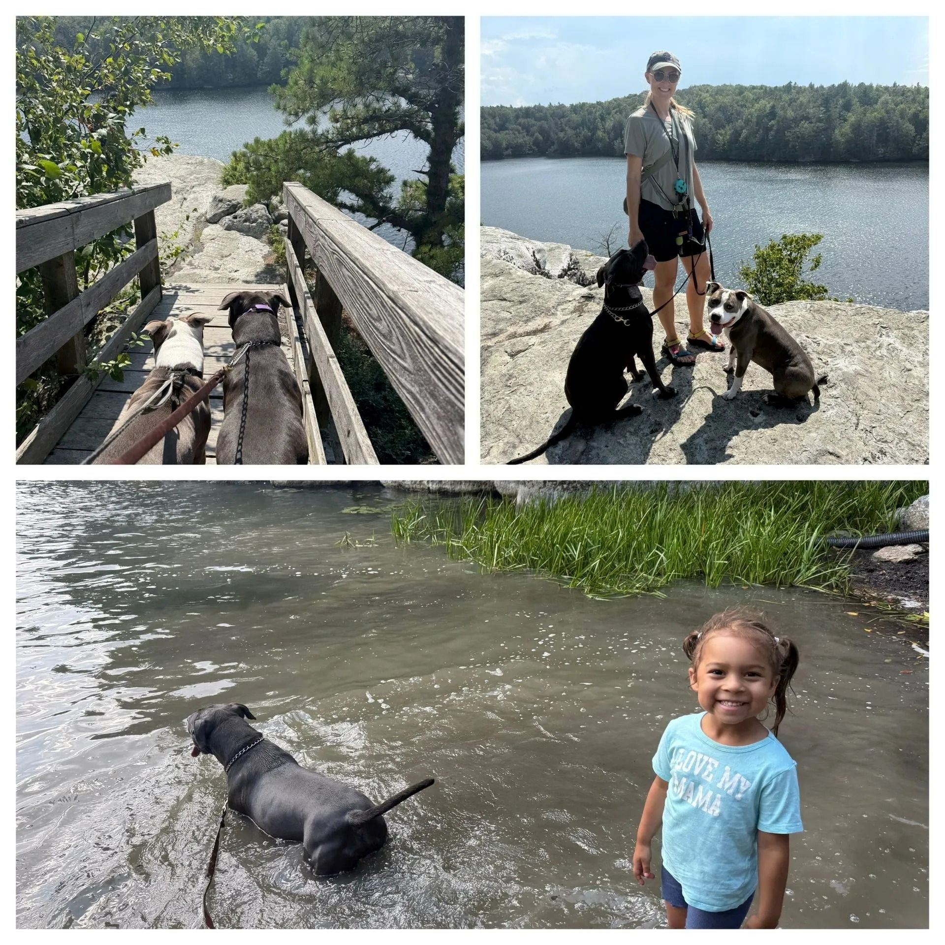 Person with two dogs on a wooded lakeside trail; one dog swims in the water and a smiling child stands nearby.