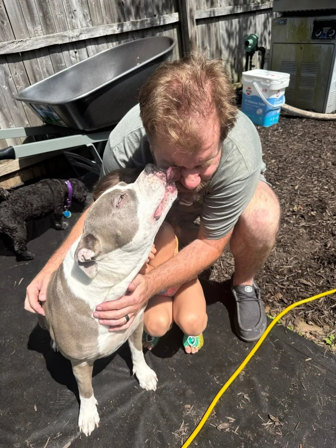 Man kneeling to hug a white-and-brown dog outdoors on a black tarp, with another black dog nearby.