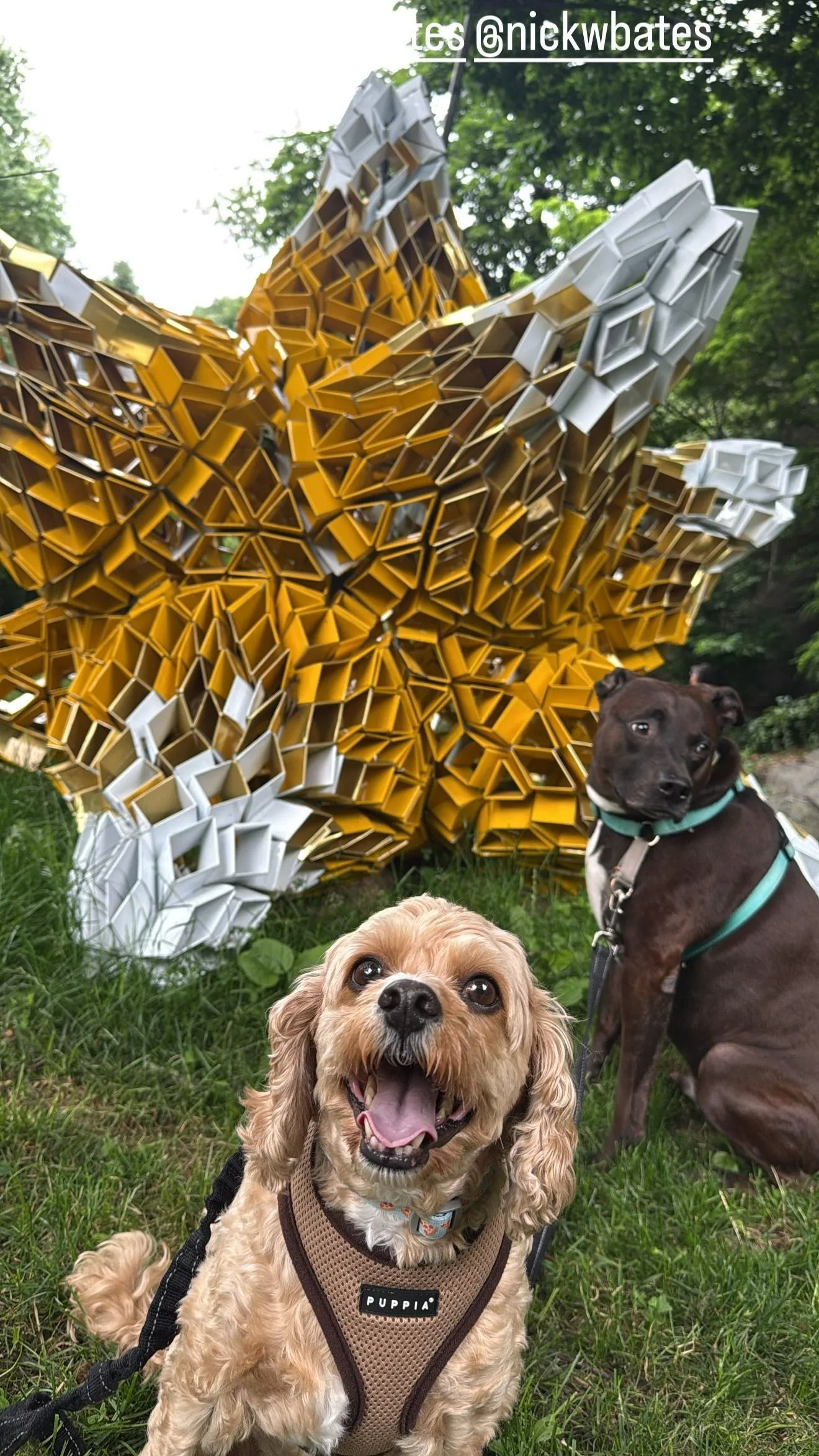 Two dogs on grass in front of a gold and silver geometric sculpture