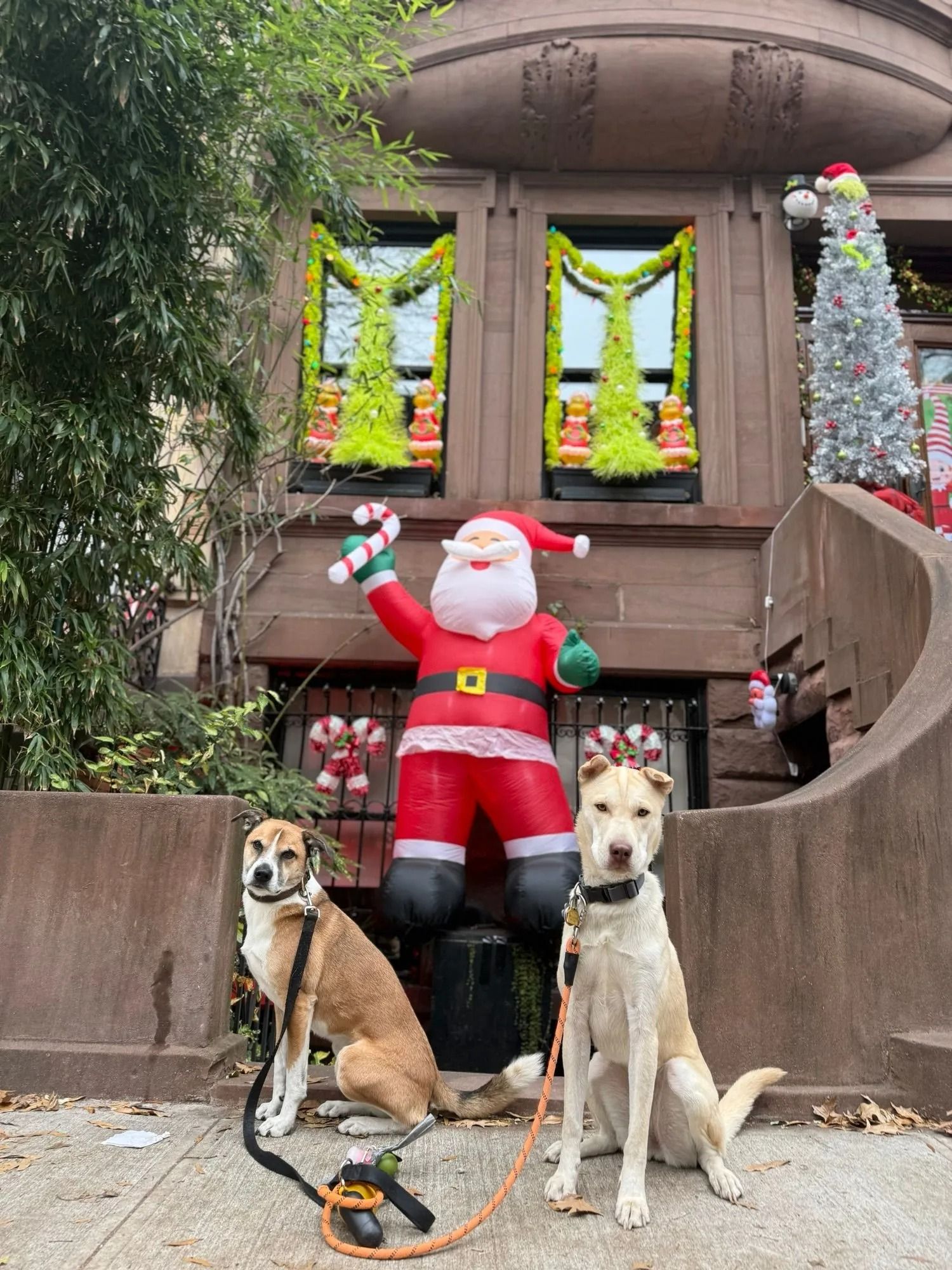 Two dogs sit before a large Santa decoration on outdoor steps beside a house, with holiday garlands above.