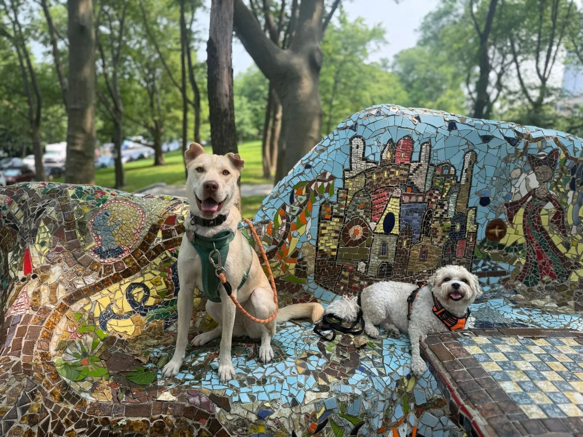 Two dogs sitting on a colorful mosaic bench in a leafy park